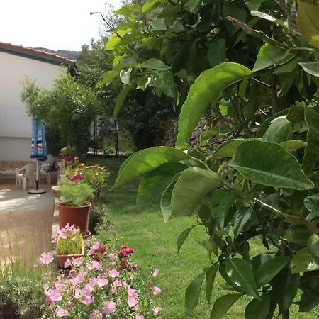 Christos House *